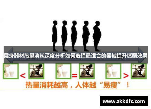 健身器材热量消耗深度分析如何选择最适合的器械提升燃脂效果