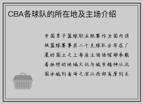 CBA各球队的所在地及主场介绍