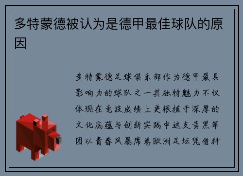 多特蒙德被认为是德甲最佳球队的原因